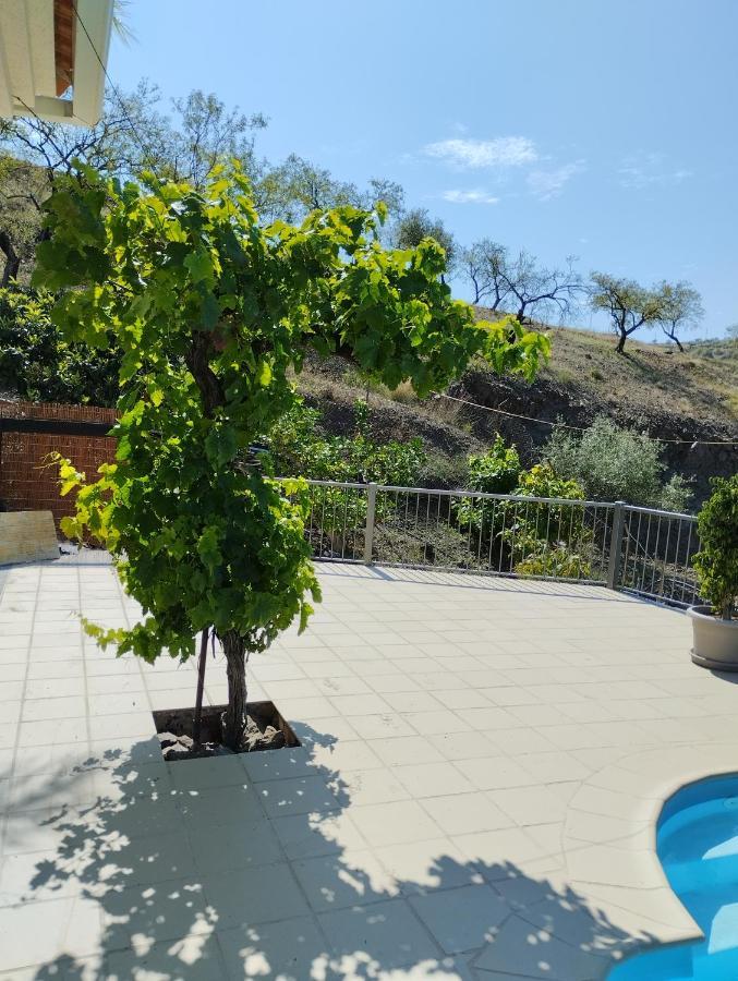 Villa Las Vinas Málaga Exterior foto